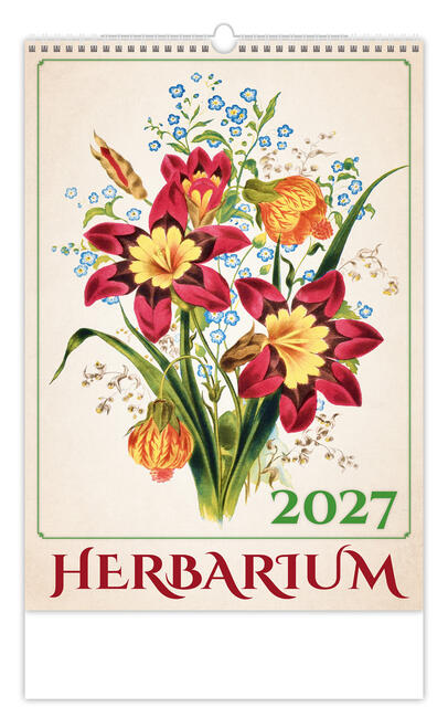 Bildkalender - Herbarium