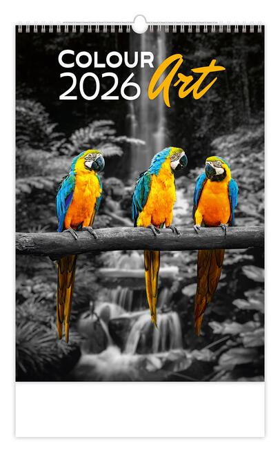 Bildkalender - Colour Art