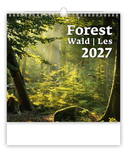 Bildkalender - Forest